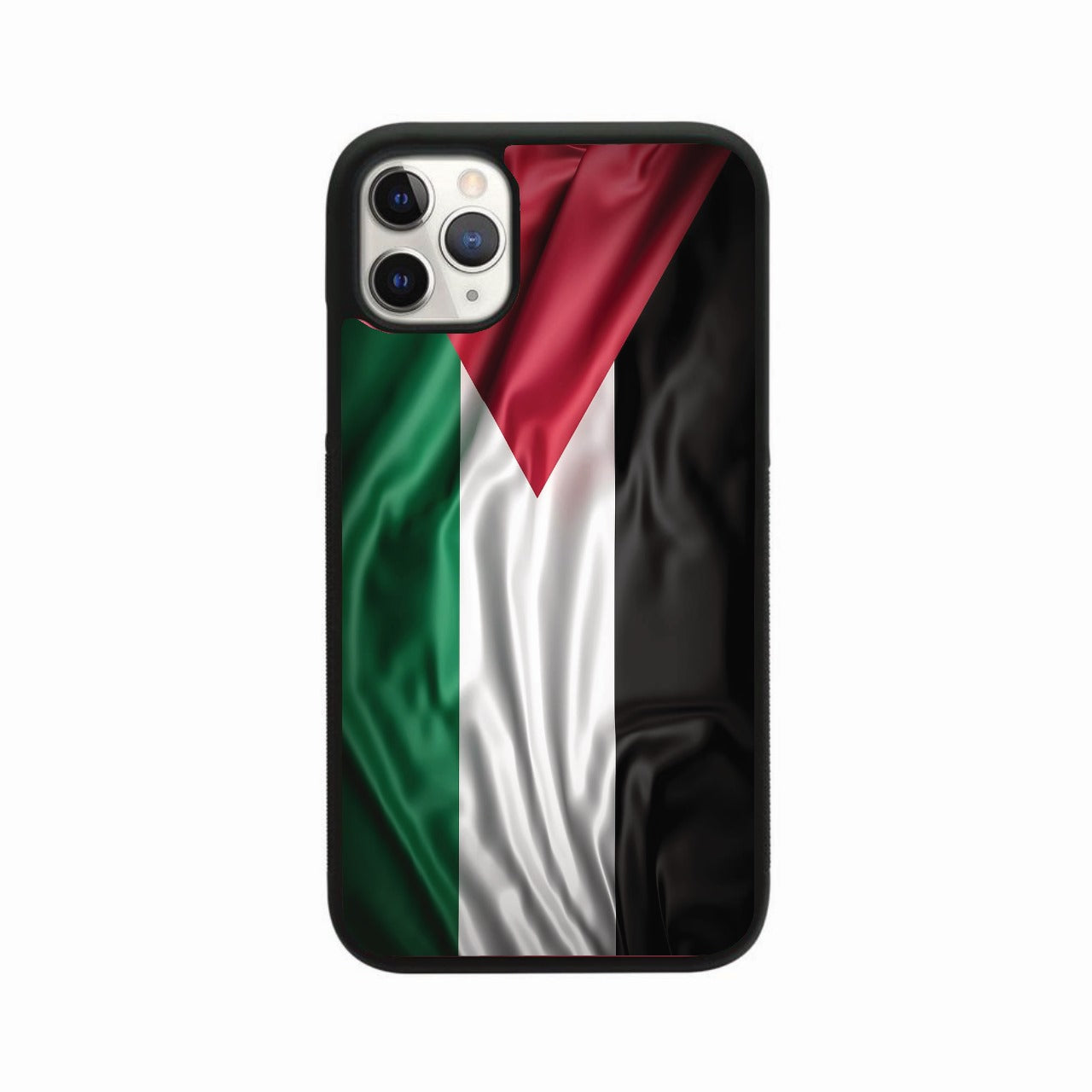 Palestine Flag Case